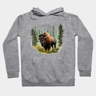 American Bison Hoodie